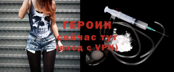 индика Новодвинск