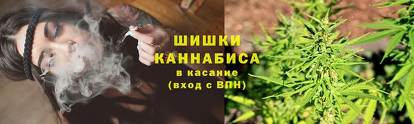 дмт Нея