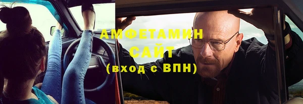индика Новодвинск
