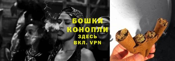 дмт Нея