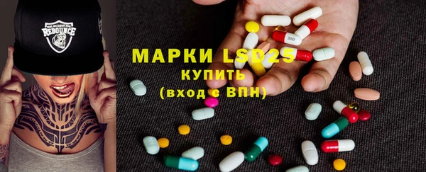дмт Нея