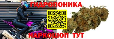 Альфа ПВП Беслан