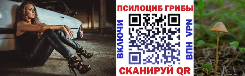 Псилоцибиновые грибы Psilocybe Петровск