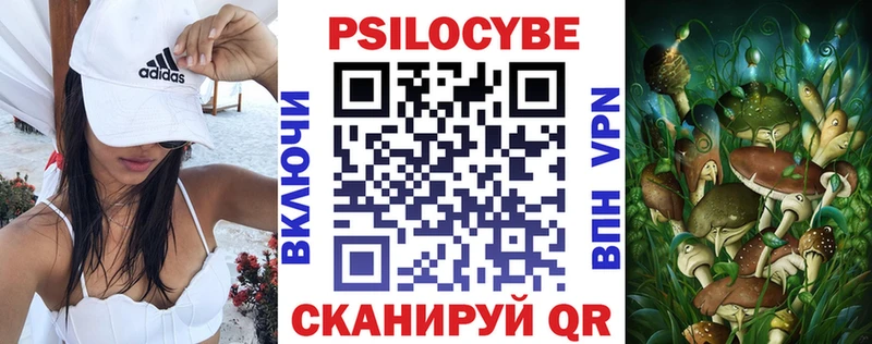 Псилоцибиновые грибы Psilocybine cubensis  Петровск 