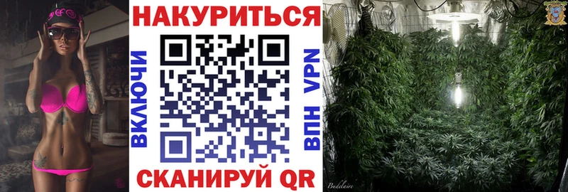 Канабис ГИДРОПОН  Петровск 